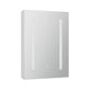 Bathroom Mirror Wall Cabinet LED Light Medicine Makeup Storage Shelves Organiser