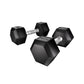 Everfit 20kg Hex Dumbbells Set Dumbbells Weights Lifting Bench Gym Workout 2x10kg