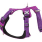 Whinhyepet Harness Purple L