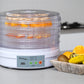 European Design Food Dehydrator/ Preserver w/ 2 Power Levels