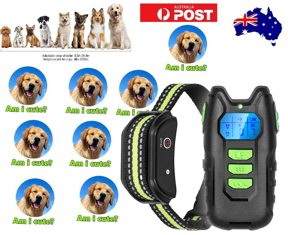 Electric Pet Dog Training Anti Bark Collar Sound Vibrate Auto  Rechargeable NEW