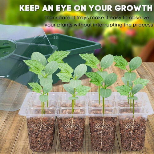 10 Set 12 Hole Plant Seed Grow Box Propagation Nursery Seedling Starter Tray