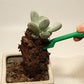 30X Mini Garden Hand Tools Transplanting Succulent Plant Gardening Tool Rake Set