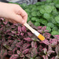 30X Mini Garden Hand Tools Transplanting Succulent Plant Gardening Tool Rake Set