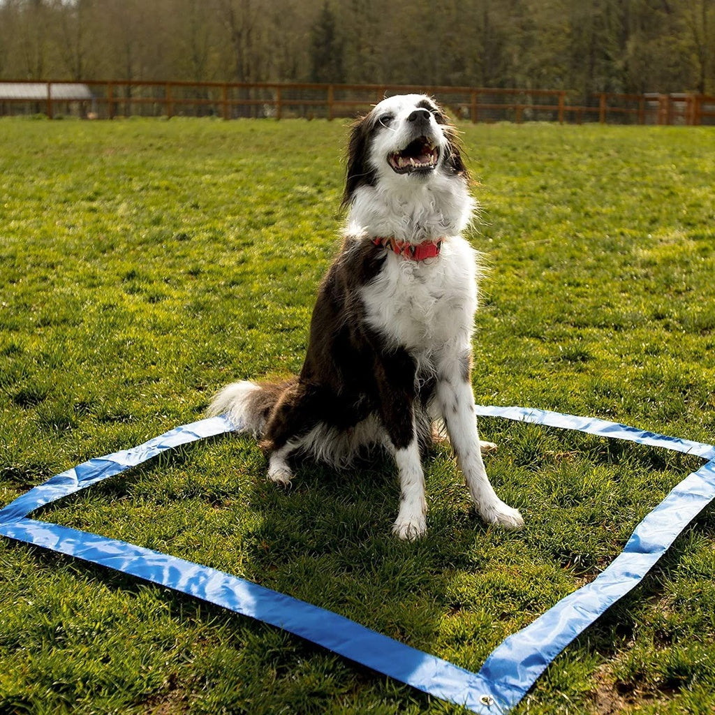 Floofi Dog Agility Training Set