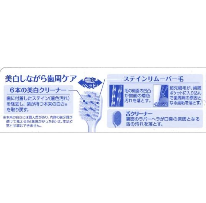 [6-PACK] EBISU Premiumcare Toothbrush No. 62 Whitening Broad Head Massage Toothbrush (pack of three)