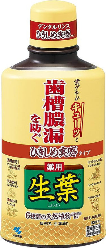 [6-PACK] KOBAYASHI Japan Mouthwash Fresh Leaves 300ml