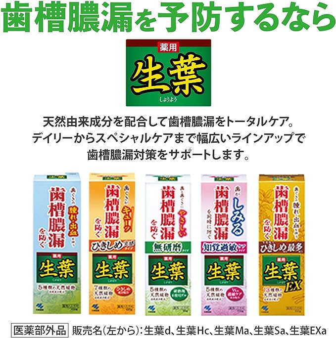 [6-PACK] KOBAYASHI Japan Toothpaste Fresh Leaves Tightening Real Type 100g