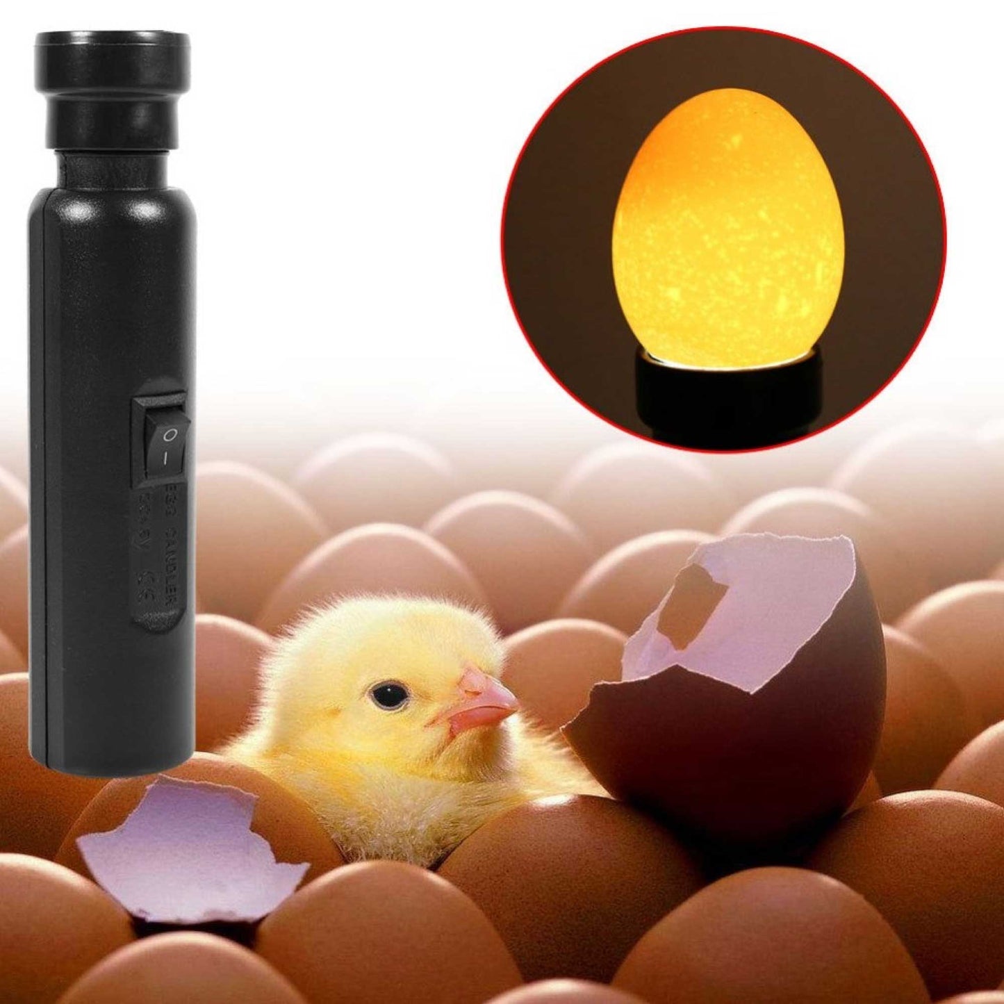 AU Plug Egg Candler Lamp - LED Cool Light Chicken Duck Quail Hatching Incubator