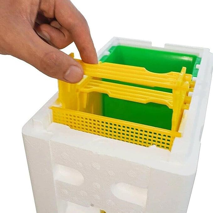 Mini Mating Box Queen Bee Rearing Plastic Styrene Foam Hive Harvest Copulation