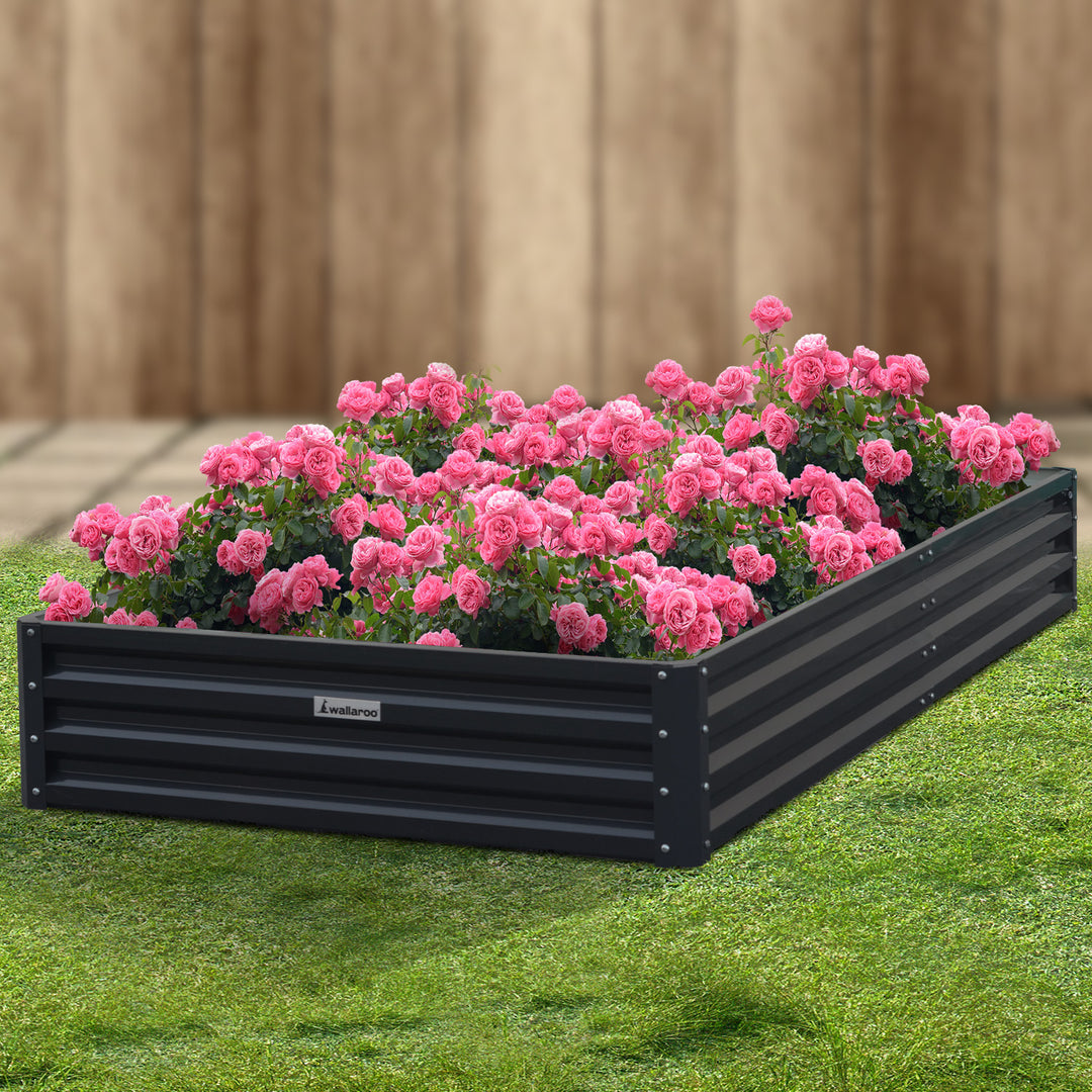 Wallaroo Garden Bed 240 x 120 x 30cm Galvanized Steel - Black