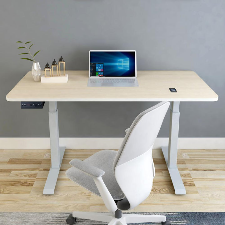 120cm Standing Desk Height Adjustable Sit White Stand Motorised Dual Motors Frame Birch  Top