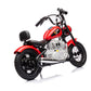 Single Rider Cruiser Bike 36V