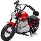 Single Rider Cruiser Bike 36V