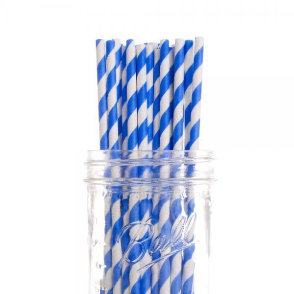 1000 Bulk Wholesale Pack Blue White Drinking Straws Biodegradable Eco Paper Birthday Party Event Bistro Bar Cafe Take Away