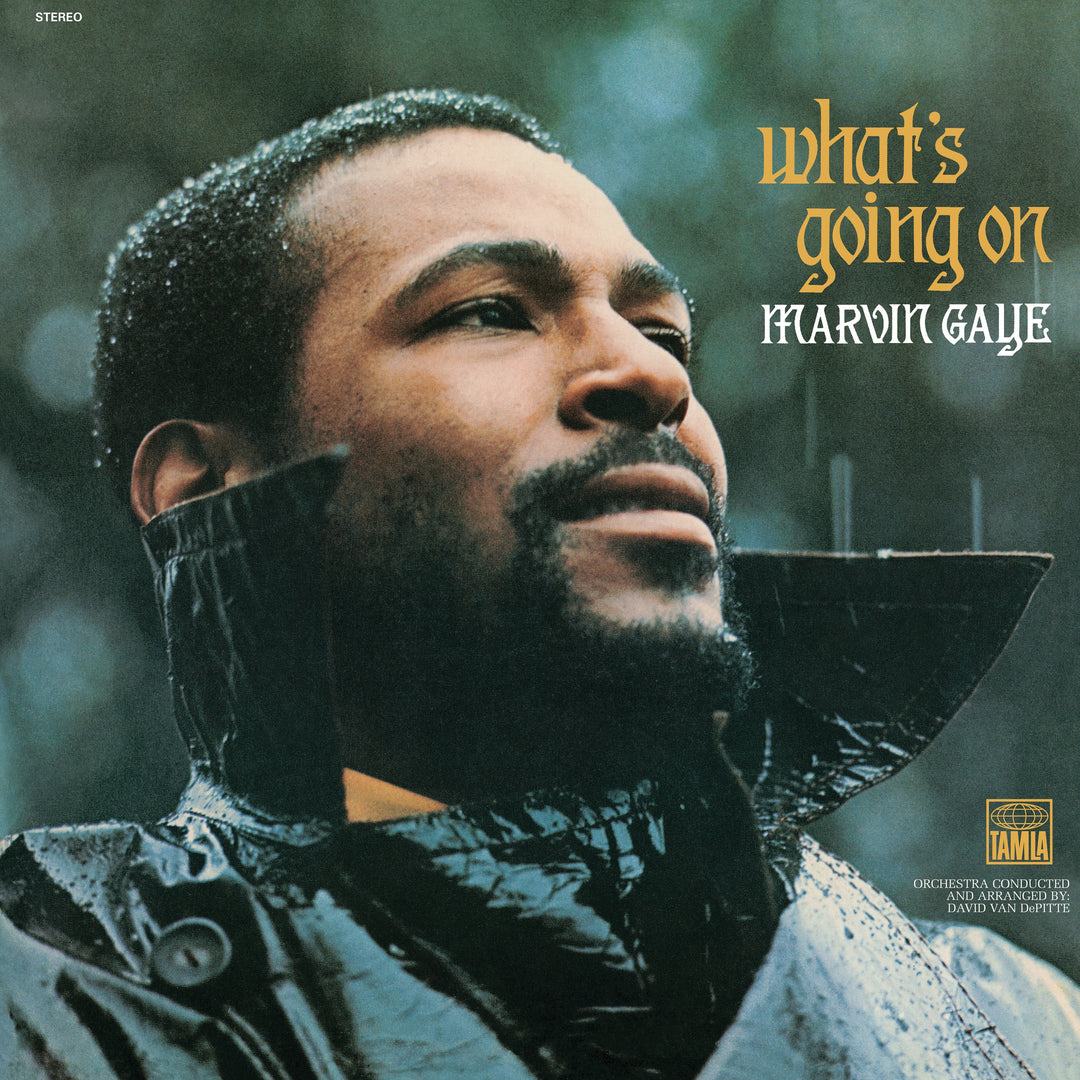 Marvin Gaye What's Going On - Vinyl Album