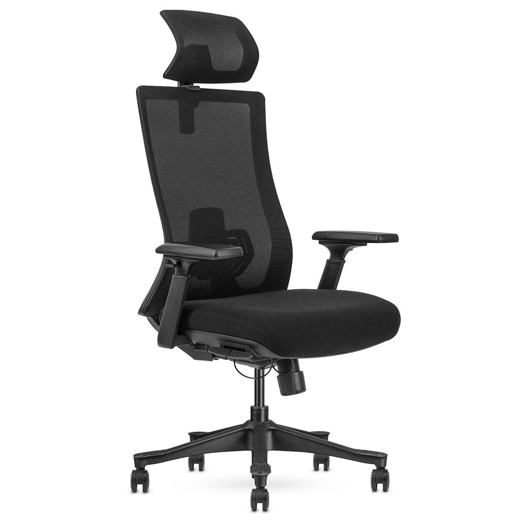 Lifespan Fitness DM9 Ergonomic Mesh High Back Office Chair