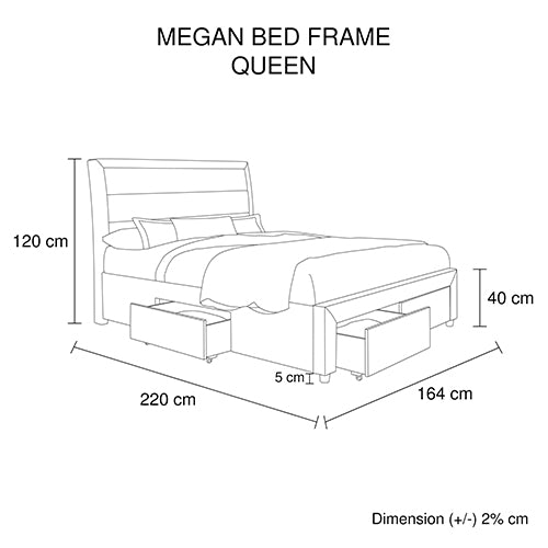 Storage Bed Frame Queen Size Upholstery Fabric in Light Grey with Base Drawers