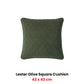 Bianca Lester Olive Velvet Square Filled Cushion 43 x 43cm