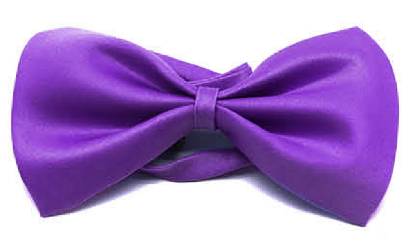 Mens BOW TIE Wedding Tuxedo  Formal Bestman Necktie Classic Plain Party - Purple