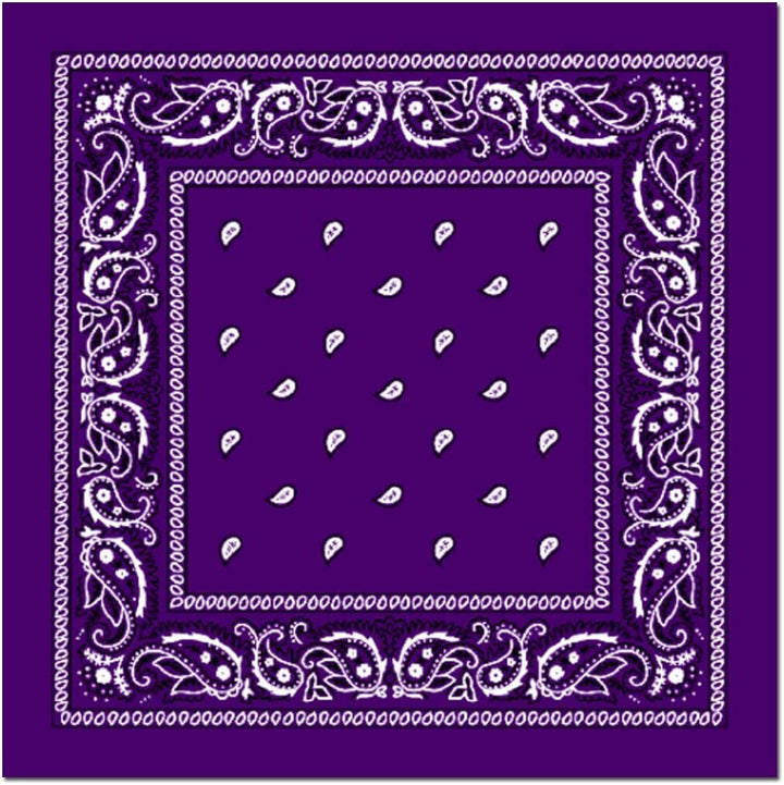 BANDANA Paisley 100% COTTON Head Wrap Durag Bandanna Summer Biker Scarf Mask - Purple