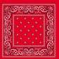 BANDANA Paisley 100% COTTON Head Wrap Durag Bandanna Summer Biker Scarf Mask - Red