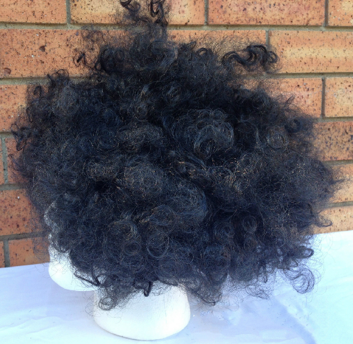 Mens DELUXE AFRO WIG Curly Hair Costume Party Fancy Disco 70s 80s Dress Up - Black