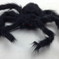 FAKE GIANT SPIDER Large Big Halloween Accessory Party 35cm x 25cm Huge Insect