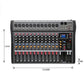 Hridz 12 Channel Mixing Console Live Studio Audio DJ Mixer Sound Board USB Interface