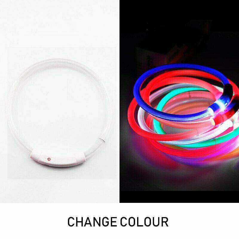 Rechargeable Night LED Dog Collar USB Glow Flashing Light Up Pet Collars Safety-Red-Diameter Length-35cm