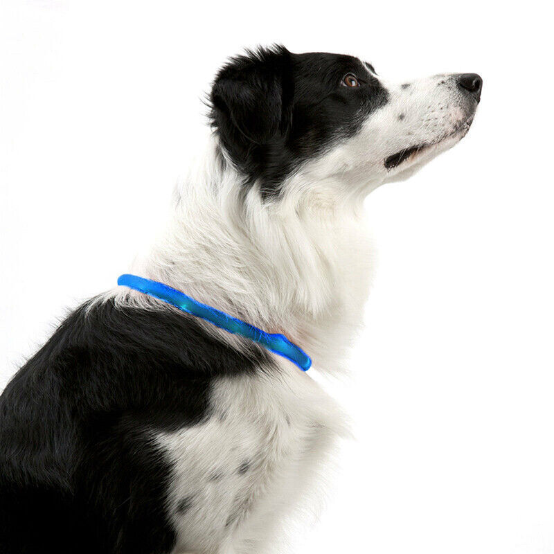 Rechargeable Night LED Dog Collar USB Glow Flashing Light Up Pet Collars Safety-Blue-Diameter Length-70cm