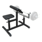 Preacher Curl Bench Weights Commercial Bicep Arms