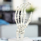 Hand Joint Anatomical Skeleton Model Human Anatomy Study Tool