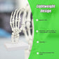 Hand Joint Anatomical Skeleton Model Human Anatomy Study Tool