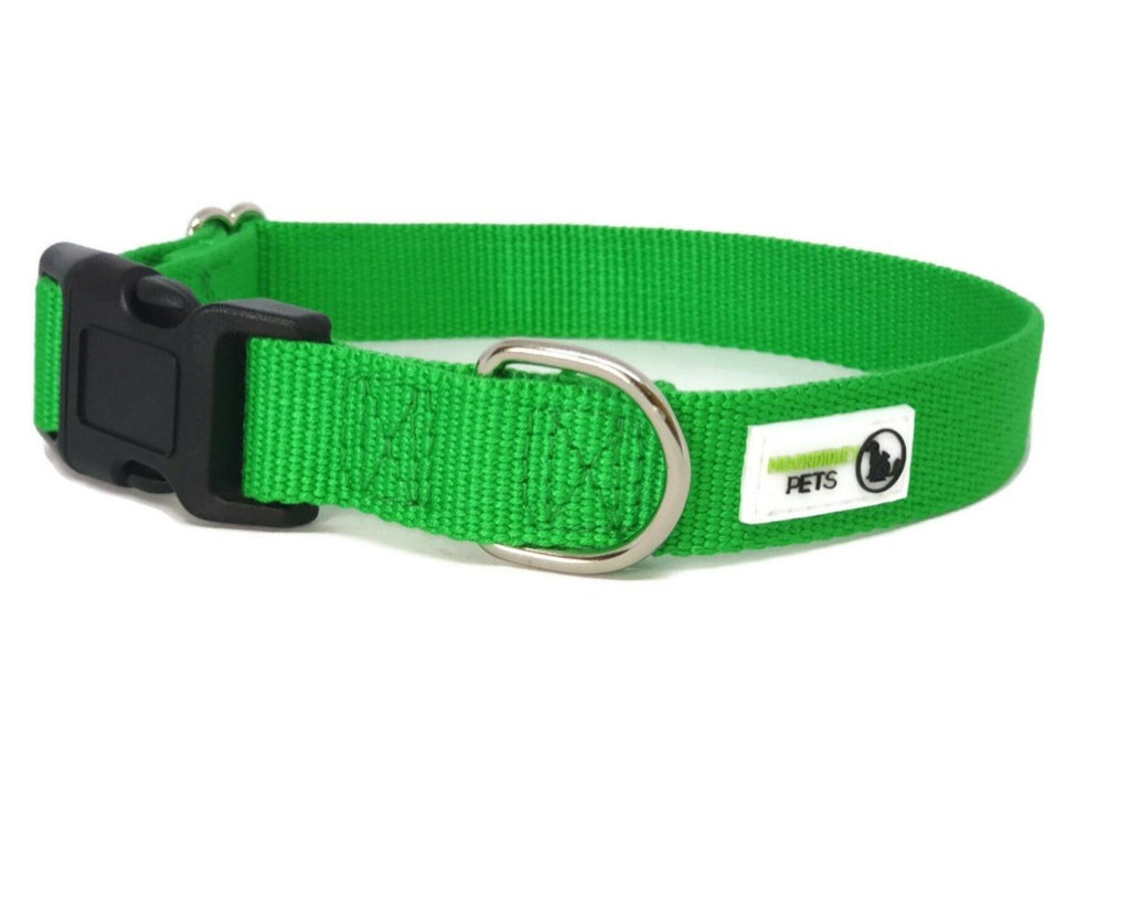 100% Pure Bamboo Fibre Dog Collar Plastic Buckle - Moondidley Pets Medium Green