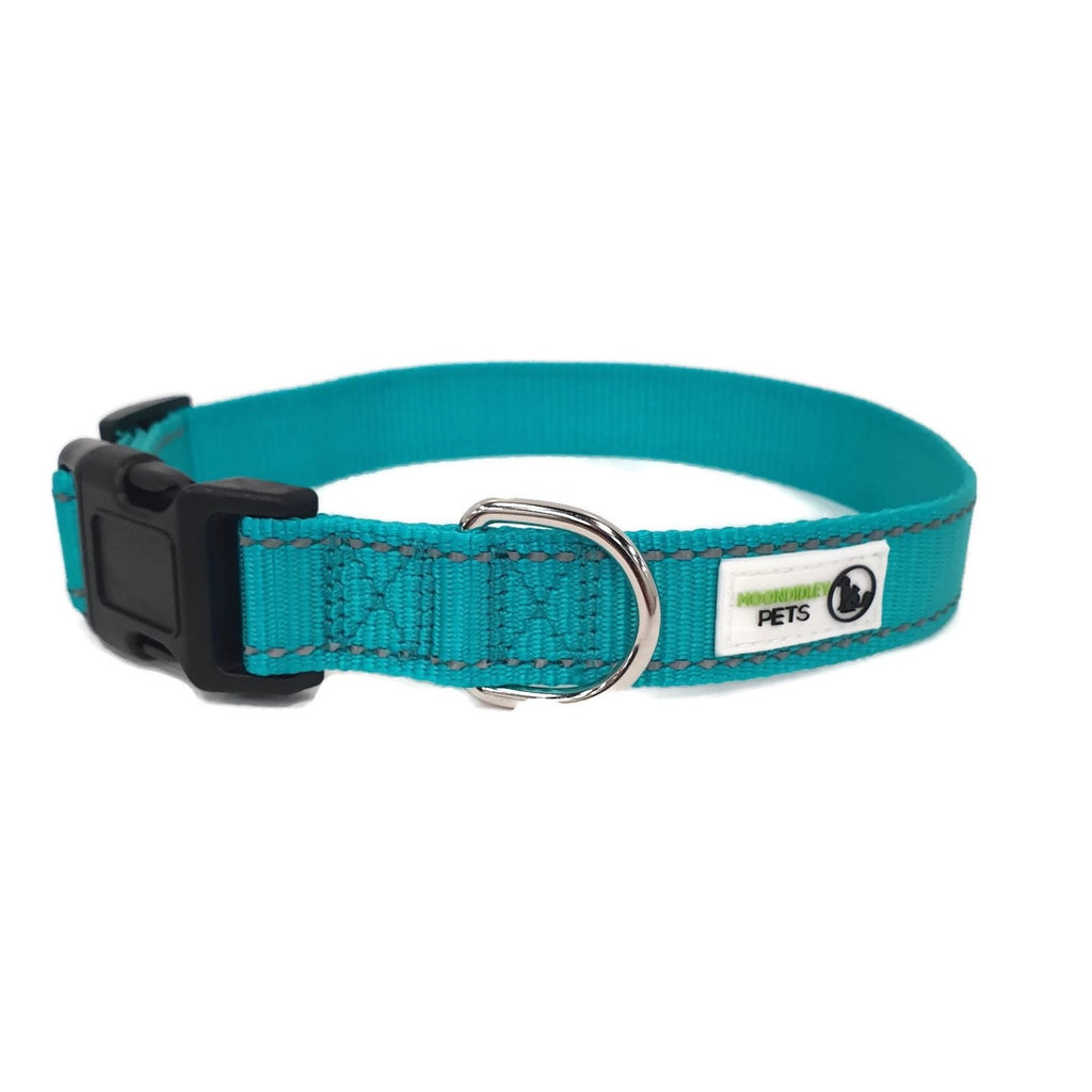 Nylon w/Reflective Stitching Dog Collar Small Turquoise - Moondidley Pets