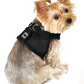 Vest Harness Pet Dog-Cat Step-in Velcro and Buckle Attachments - Moondidley Pets X-Large Purple