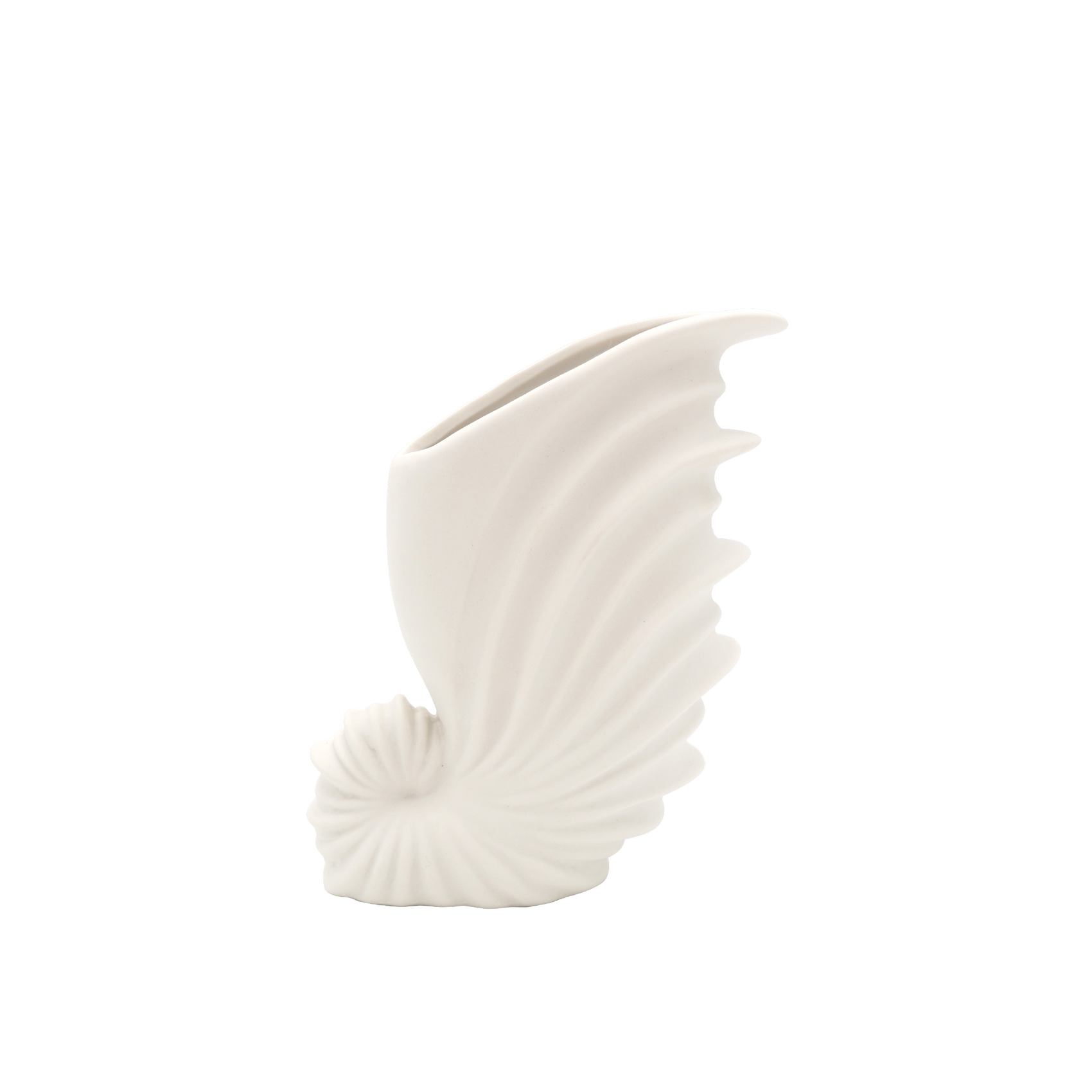 Shell White Ceramic Vase