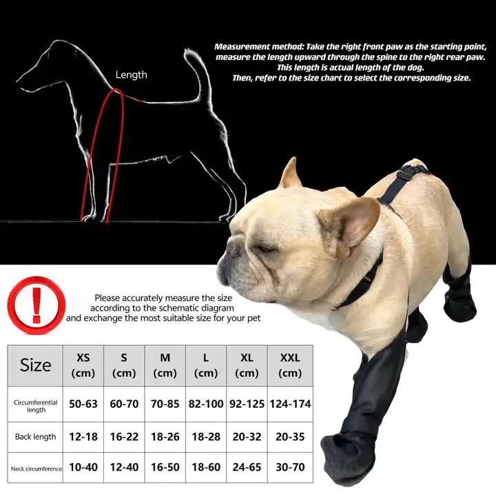 XXL Waterproof Non-Slip Dog Shoes – All-Season Dog Boots for Protection, Anti-Slip Pet Footwear, Durable and Comfortable