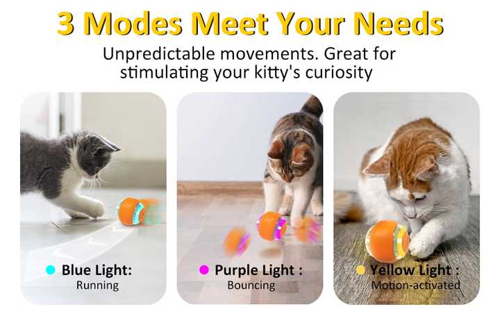 Interactive Electric Cat Toy Ball – Rechargeable Smart Rolling Pet Ball