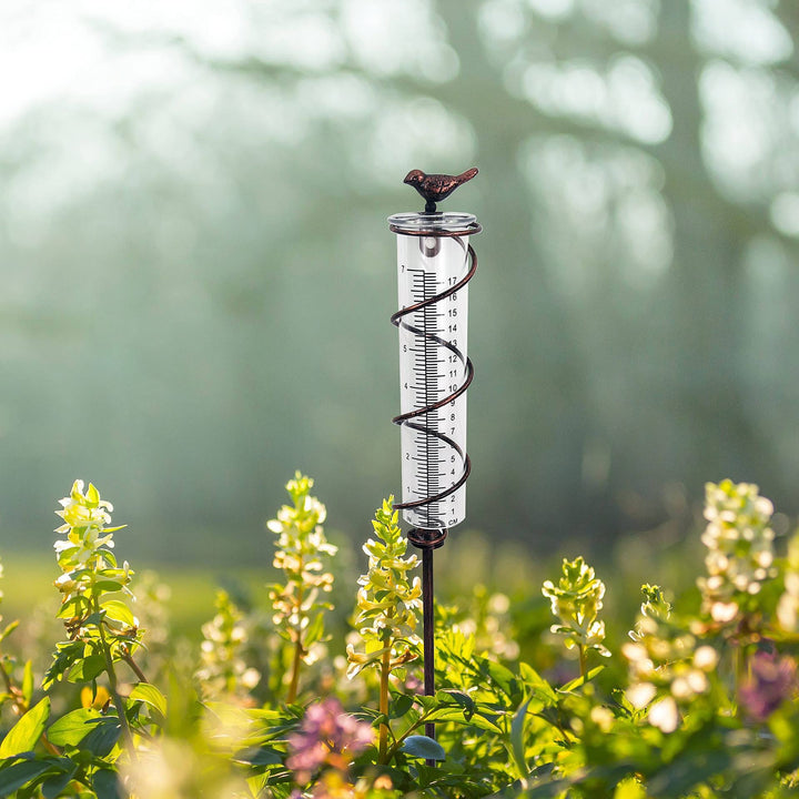 Decorative Garden Rain Gauge – Glass Rain Meter with Metal Stake and Bird Design