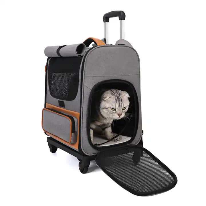 Off-white Large Capacity Breathable Foldable Pet Trolley - Travel Cat Carrier with Wheels, Portable, Spacious, and Convenient for Two Cats