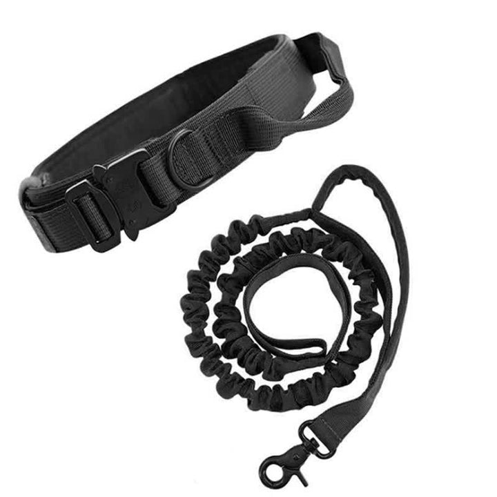 M Black Hands-Free Dog Leash with Adjustable Waist Belt - Shock Absorbing Bungee Lead