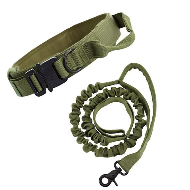 M Green Hands-Free Dog Leash with Adjustable Waist Belt - Shock Absorbing Bungee Lead