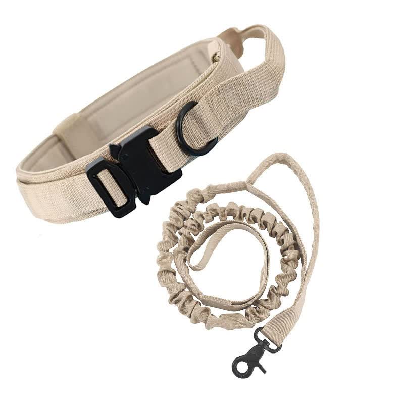 XL khaki Hands-Free Dog Leash with Adjustable Waist Belt - Shock Absorbing Bungee Lead