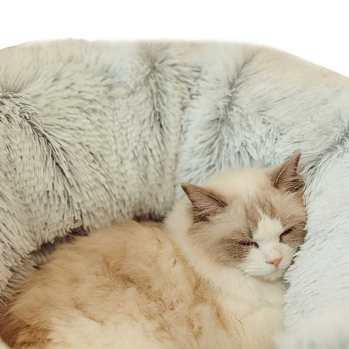 Rainbow Luxury Plush Cat Bed with Hidden Tunnel - Soft Round Pet Bed for Cats and Small Dogs