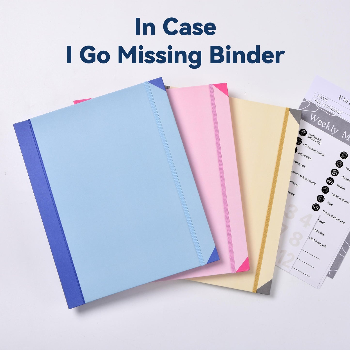 Pink Accordion File Binder with 12 Envelopes - Durable Document Organizer