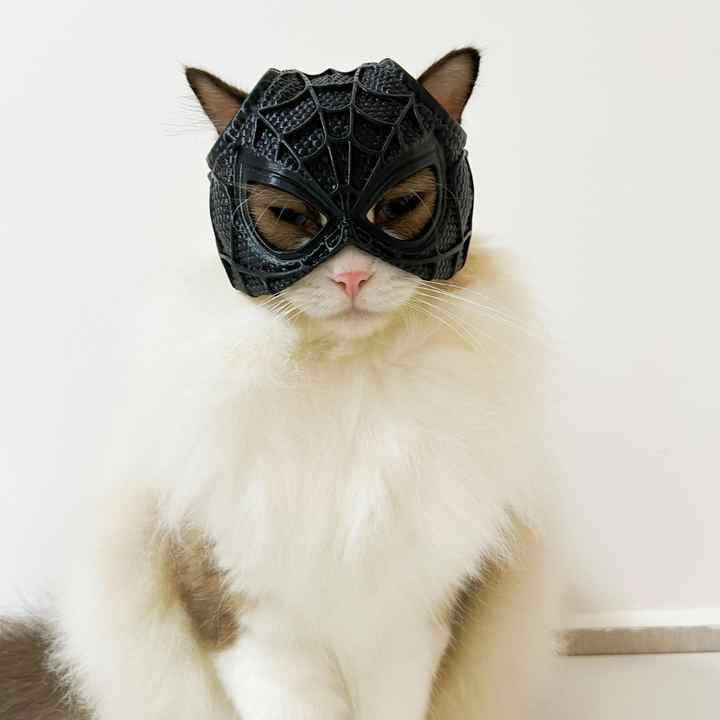 Size S Black DIY 3D Printed Spider-Man Cat Mask - Mini Decorative Half-Face Mask for Pets