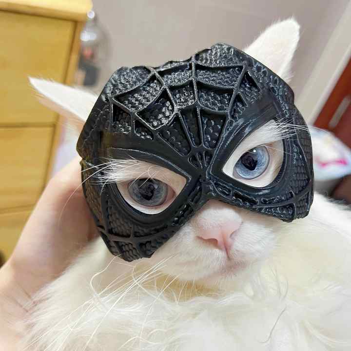 Size M Black DIY 3D Printed Spider-Man Cat Mask - Mini Decorative Half-Face Mask for Pets