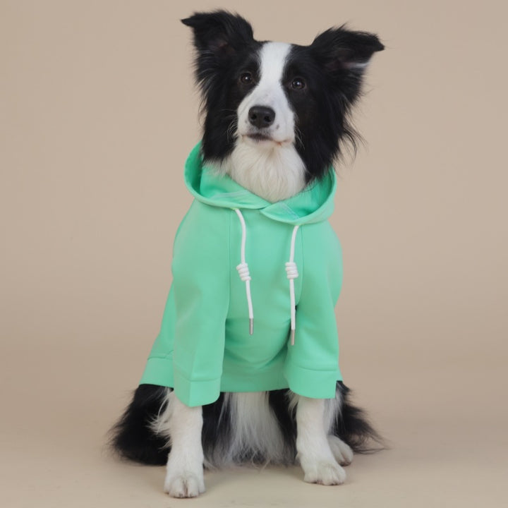 2XL Green Cute Dog Hoodie with Adjustable Drawstring - Available in Various Sizes